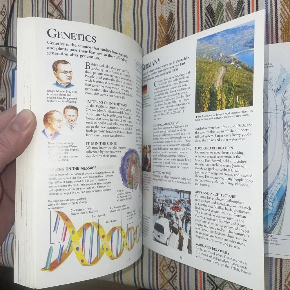 Concise Children's Encyclopedia by Editors of‎ Kingfisher (2001, Hardcover)